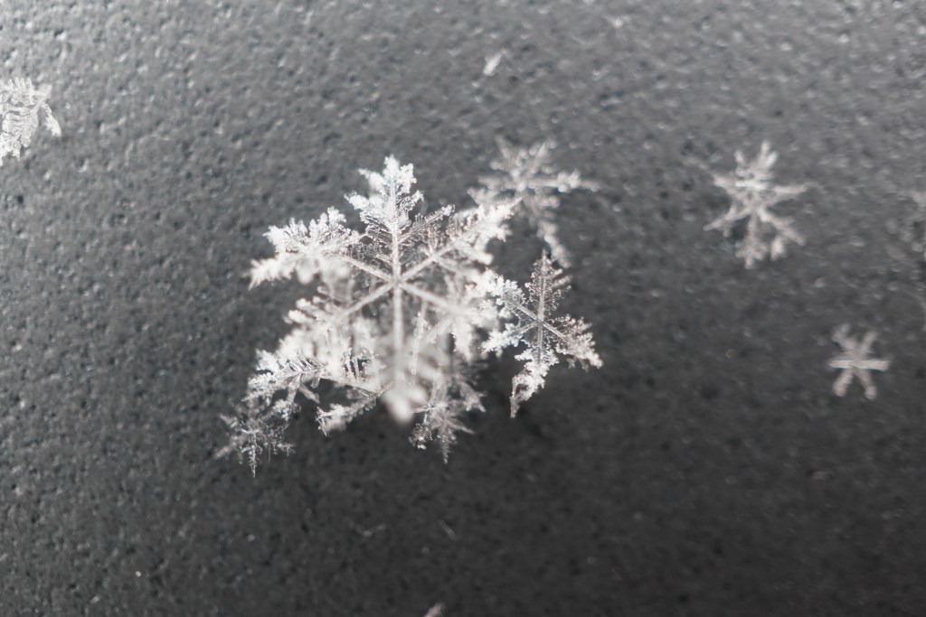 Capturing Snowflakes